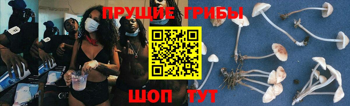 Псилоцибиновые грибы Magic Shrooms  Вход с VPN  Холмск 